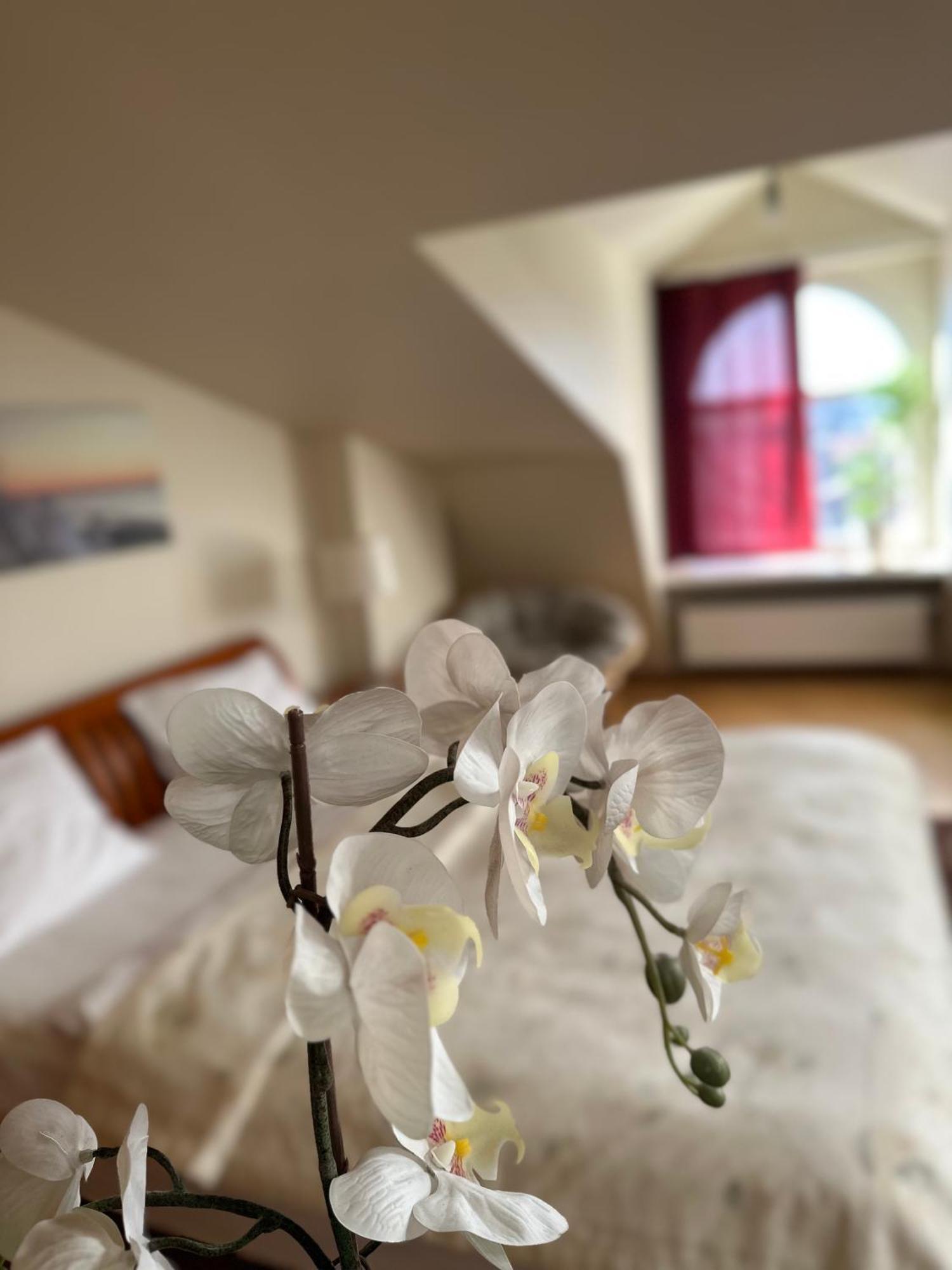 Old Town Apartment With Sauna ريغا المظهر الخارجي الصورة